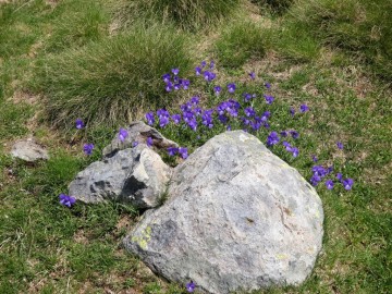 2020-05-24-Poffe-Stabil-Fiorito-50