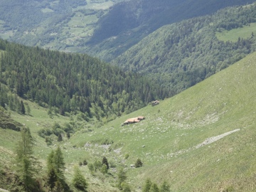 2020-05-24-Poffe-Stabil-Fiorito-55