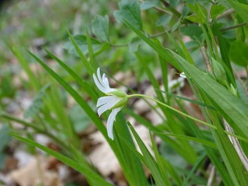 2021-04-10-monte-Palos-24