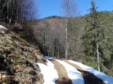 2023-03-04-malga-e-monte-Stigolo-27