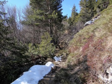 2023-03-04-malga-e-monte-Stigolo-30