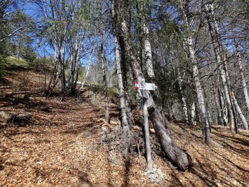 2023-03-04-malga-e-monte-Stigolo-31