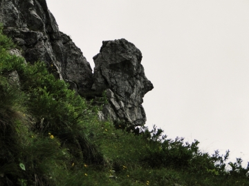 02 2011-07-24 Cime Alben 098