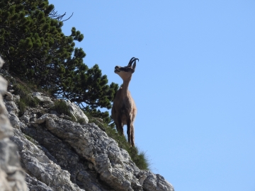 2018-07-18 cima Valdritta 003