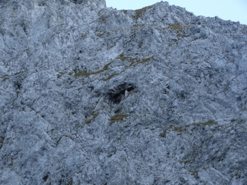 60 2016-09-28 Cimon della Bagozza (10)