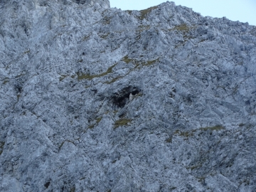 60 2016-09-28 Cimon della Bagozza (10)