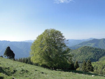 05 2014-05-18 quasi monte Golla (6)