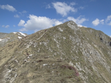 13 2014-05-18 quasi monte Golla (12)