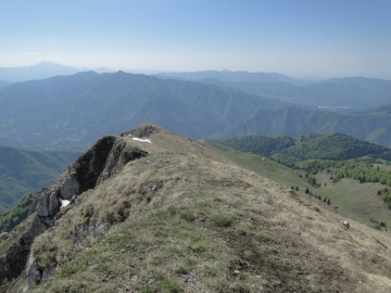 13 2014-05-18 quasi monte Golla (13)