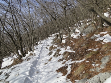 2012-02-15 Monte Bronzone 008