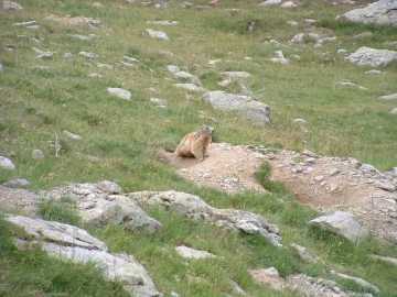 2005-07-30 monte Culvegla (13-)