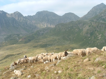 2005-07-30 monte Culvegla (13)