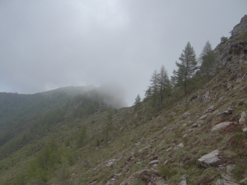 10 2015-06-02 Monte Elto da Schilpario 017