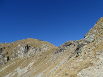 16 2015-11-22 monte Madonnino Valgoglio 016