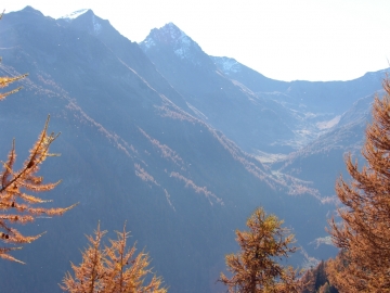 2008-10-26 monte Palabione (13)