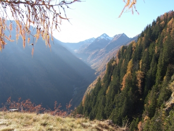 2008-10-26 monte Palabione (27)