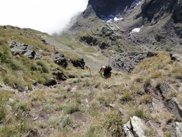 24 2010-09-12 Monte Pradella (2626mt.) 019