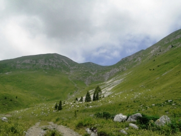 26 2013-07-21 Monte Secco da Parre 036