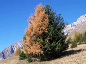 29 ottobre 2005 monte Vaccio (10)