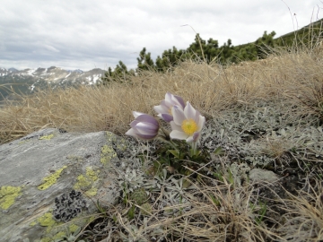 07 2012-05-12 Valdurna Tellerjoch 037