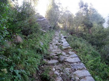 2023-08-19-Tonolini-lago-Lungo-12