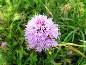 2010-07-07 arera 044