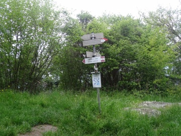 2023-05-21-Tredici-Piante-12