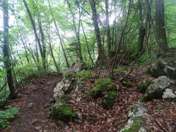 2023-05-21-Tredici-Piante-26