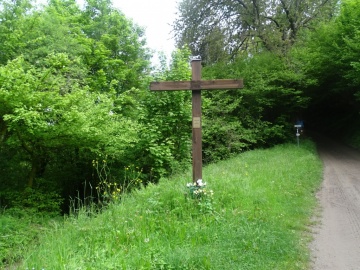 2023-05-21-Tredici-Piante-33