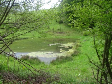 2023-05-21-Tredici-Piante-39