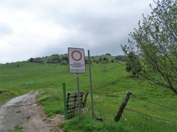 2023-05-21-Tredici-Piante-43