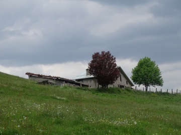2023-05-21-Tredici-Piante-44