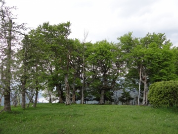 2023-05-21-Tredici-Piante-59