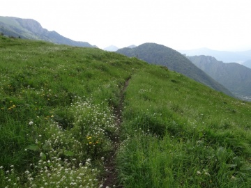 2023-05-21-Tredici-Piante-64