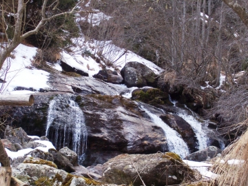 Trivena (20).jpg