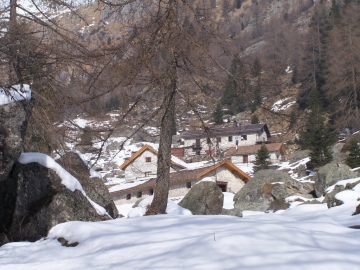 Trivena (50).jpg