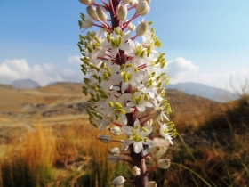 2012-08-28 creta damnoni 035