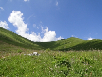 05 2011-07-03 malga e monte vai piane 026