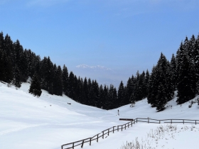 2018-02-11 valli di Gandino 039a