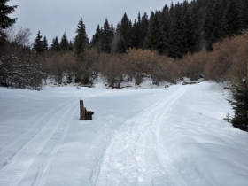 2018-02-11 valli di Gandino 041