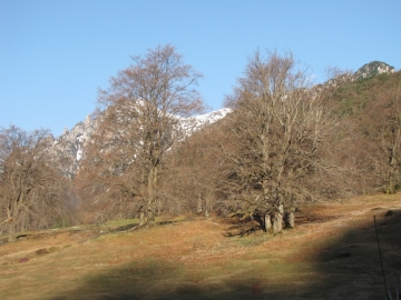 14 2009-04-13 monte carona (15)