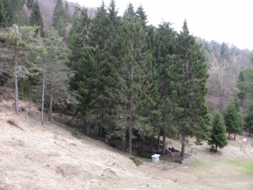 18 2009-04-13 monte carona (97)