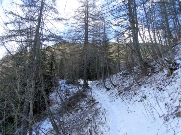 2018-12-09 malga Gatto da Ronchi (35)