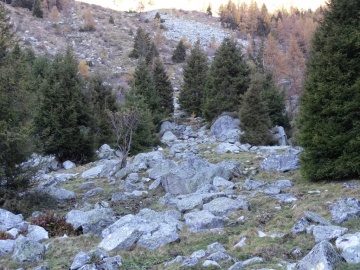 2024-10-30-val-Dois-28