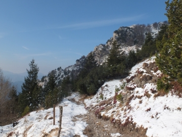 2012-03--07 passo Puria e Tignalga camosci 037