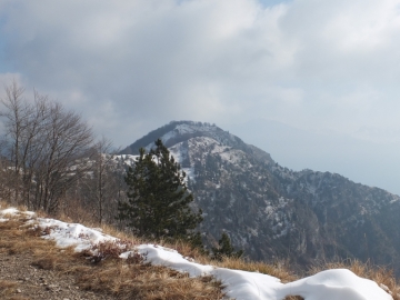 2012-03--07 passo Puria e Tignalga camosci 056