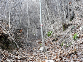 2018-01-13 Rul della Saetta valle Traversante Collio (14)