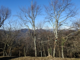 2018-01-13 Rul della Saetta valle Traversante Collio (55)