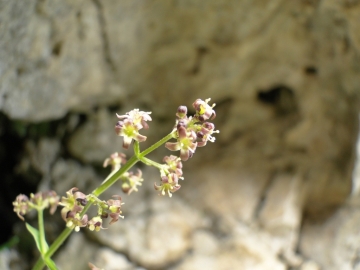 2014-07-19 passo Sella G&A 071