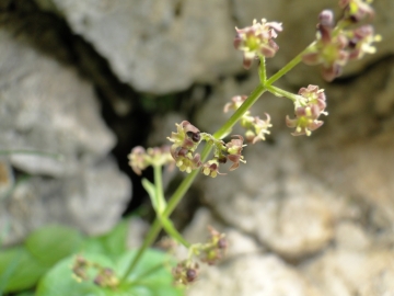 2014-07-19 passo Sella G&A 072